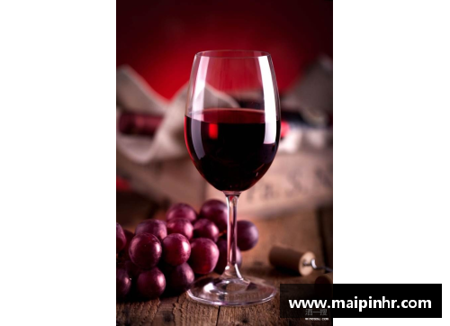 卡斯特红葡萄酒详细介绍及品鉴，助您深入了解这款红酒的历史与特点